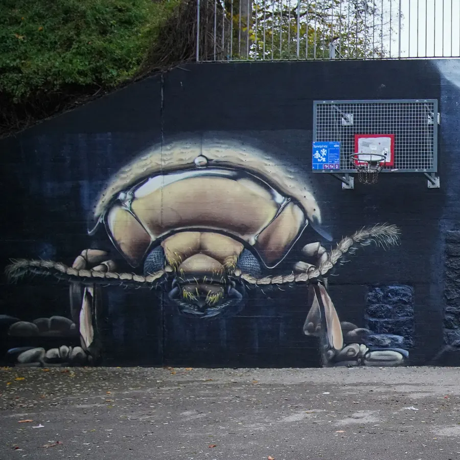 Insekten-Makrofotografie
