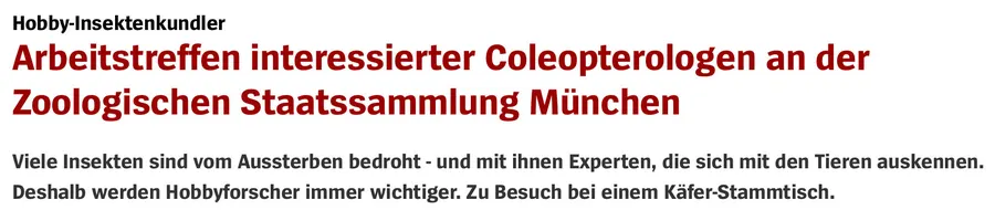 Spiegel.de – Besuch beim Käfer-Stammtisch