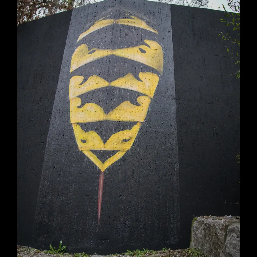 Insekten-Makrofotografie