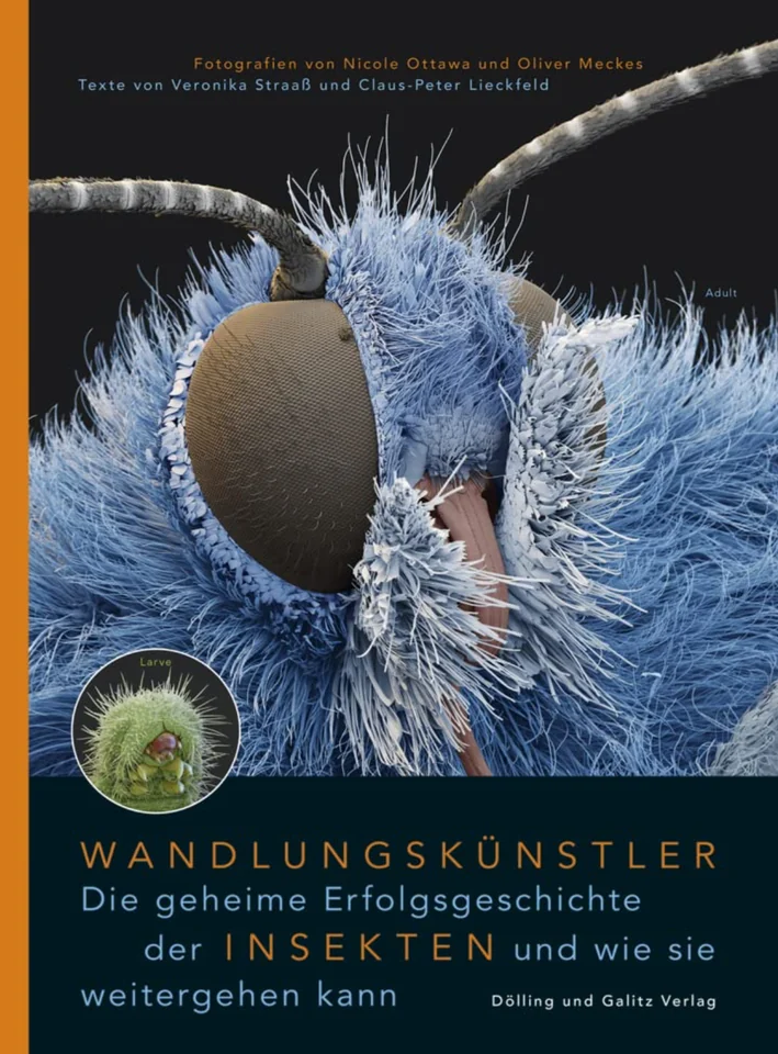 Buchcover Wandlungskünstler – Nicole Ottawa, Oliver Meckes · Dölling und Galitz Verlag