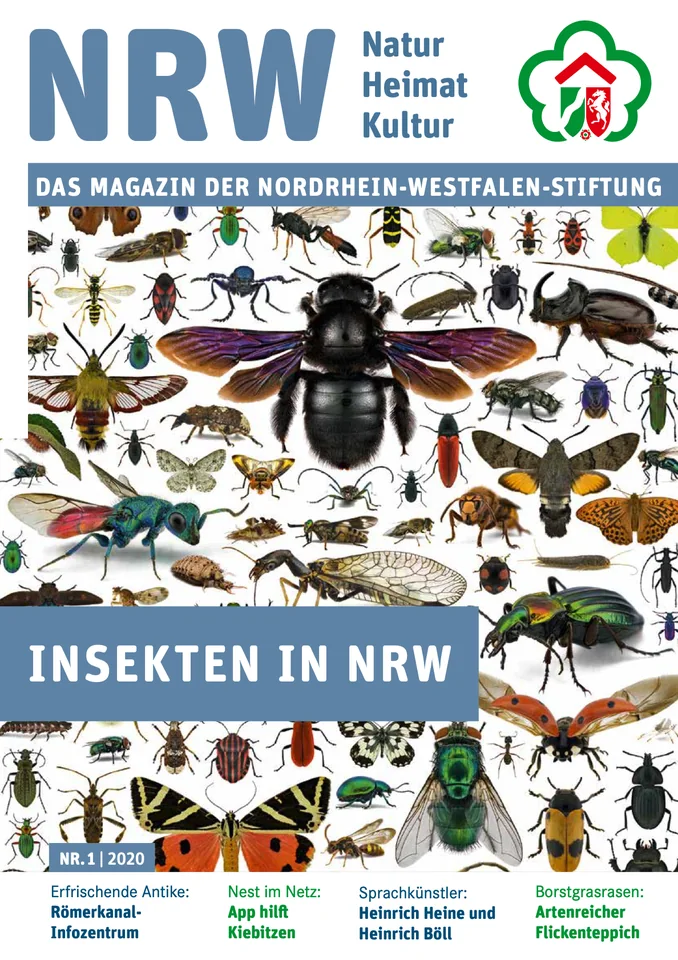 Titelseite NRW-Stiftung – Magazin „Natur Heimat Kultur“, Nr. 1 „Insekten in NRW“ · NRW-Stiftung