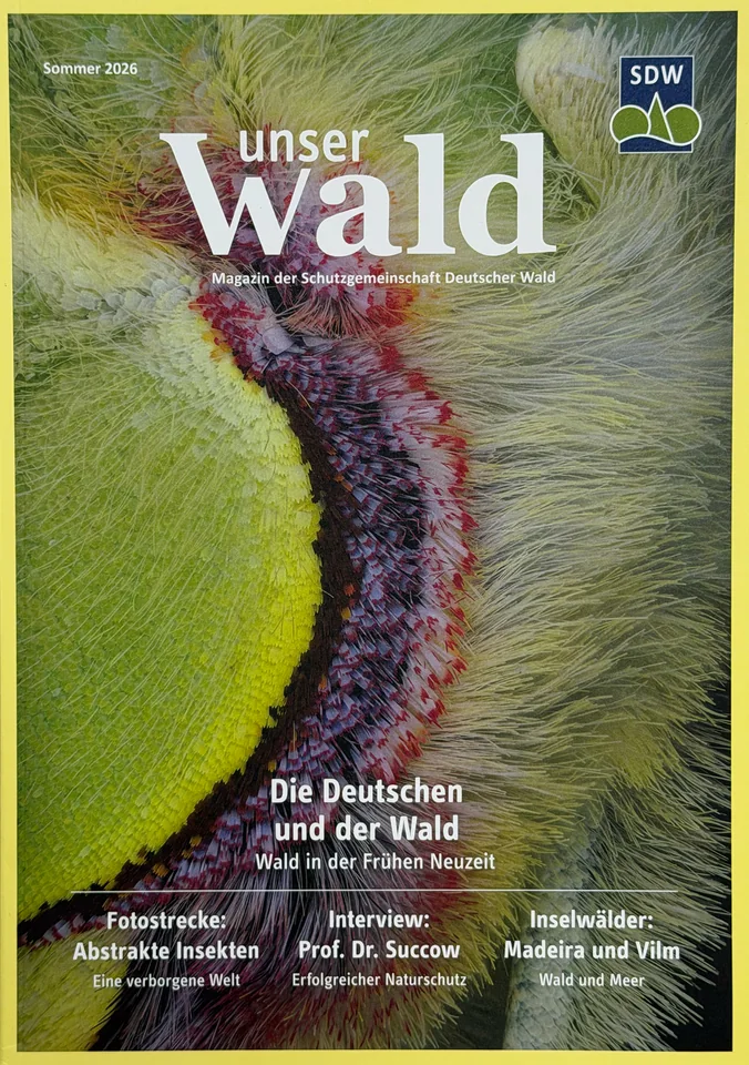Titelseite Unser Wald – Titel „Die Deutschen und der Wald“ · Schutzgemeinschaft Deutscher Wald
