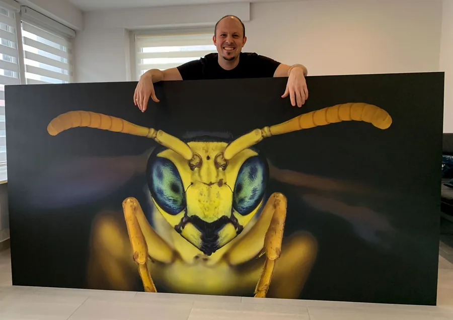 INSEKTEN, Besigheim