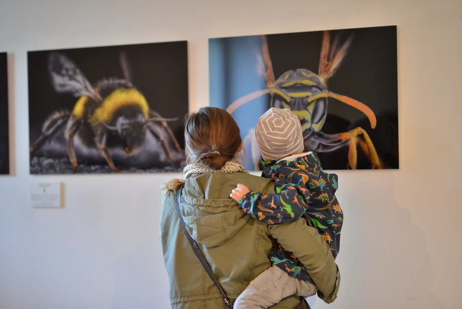 INSEKTEN, Besigheim, Wartesaal