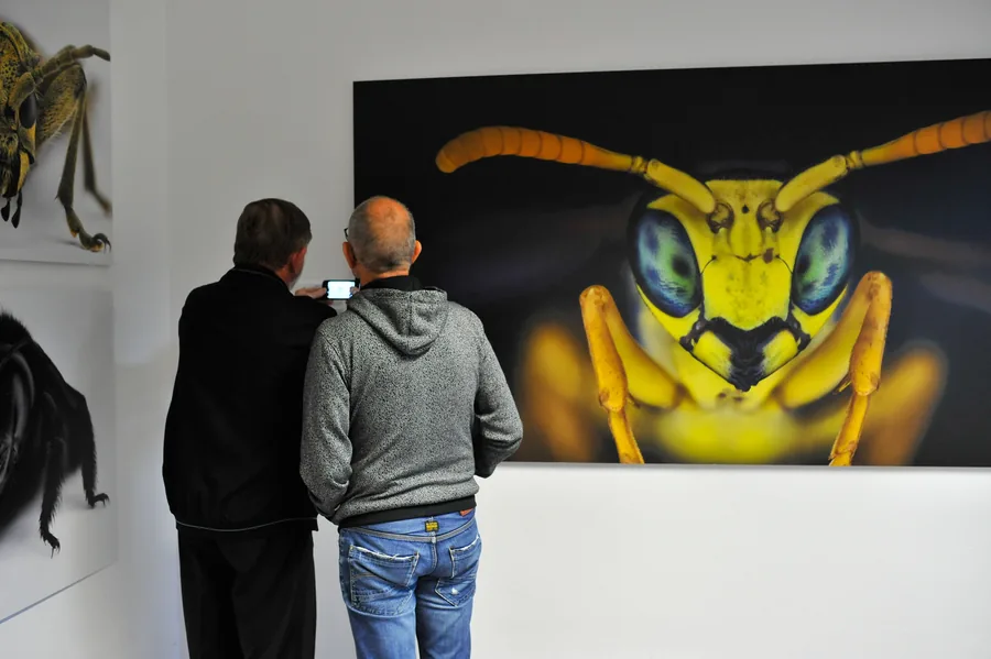 INSEKTEN, Besigheim, Wartesaal