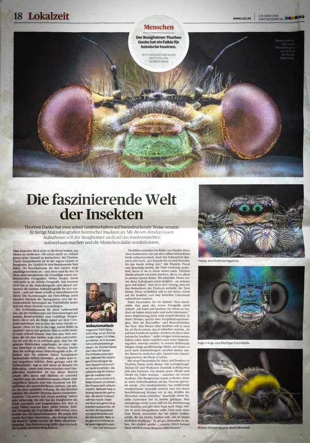Kreiszeitung, Artikel