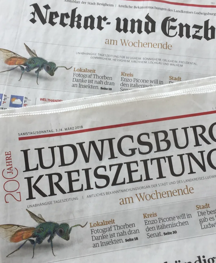 Kreiszeitung, Titelblatt