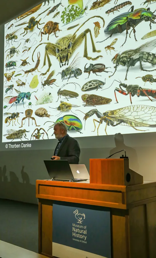 MUSEUM OF NATURAL HISTORY, Oxford
