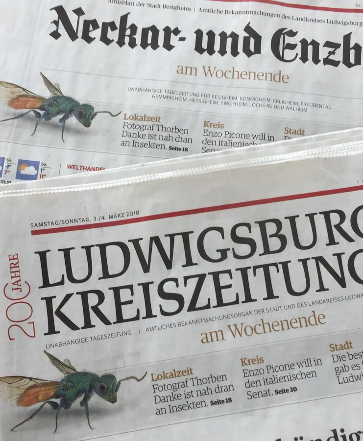 Ludwigsburger Kreiszeitung